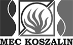 MEC Kolszalin klient FOKUS Consulting
